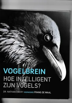Vogelbrein