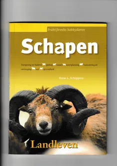 Schapen