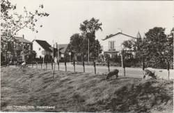 Geldermalsen Hertenkamp