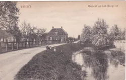 Tricht Gezicht op het Hoogeind