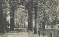 Geldermalsen De Koppel 2