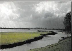 Tussen rivieren kunstenaars in Lingewaal