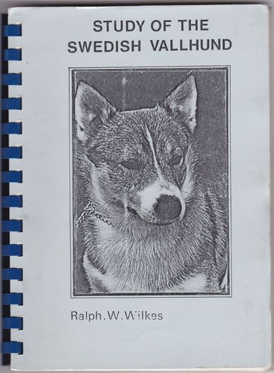 Study of the Swedish Vallhund