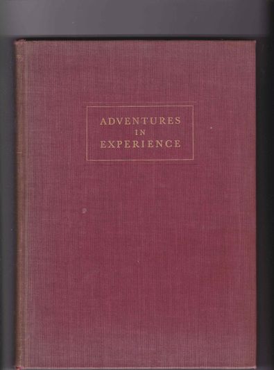 Adventures in experience