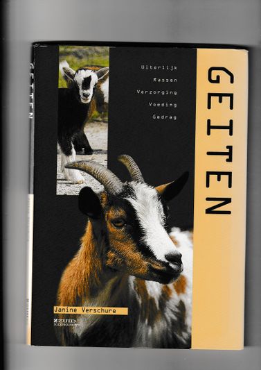 Geiten