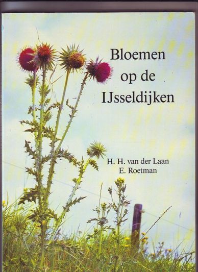 Bloemen op de IJsseldijken