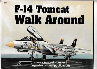 F 14 Tomcat Walk Around