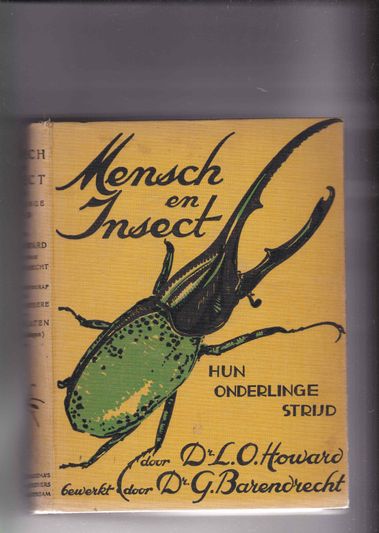 Mensch en Insect