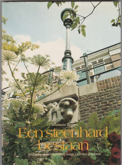 Een steenhard bestaan