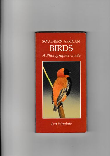 Southern African Birds