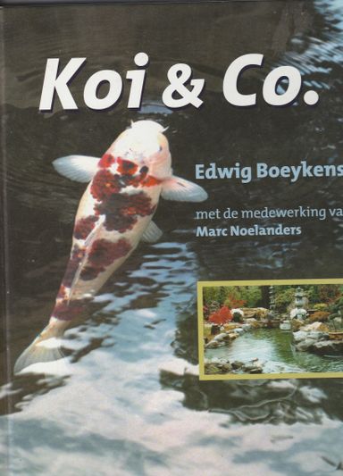 Koi & Co.