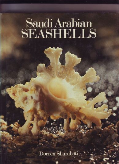 Saudi Arabian Seashells