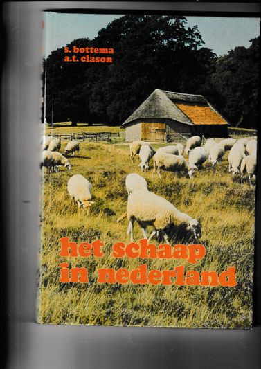 Het schaap in Nederland