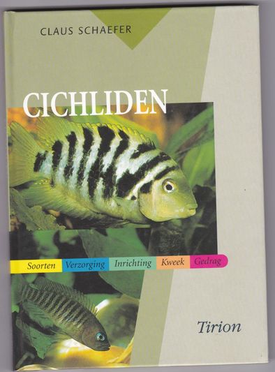 Cichliden