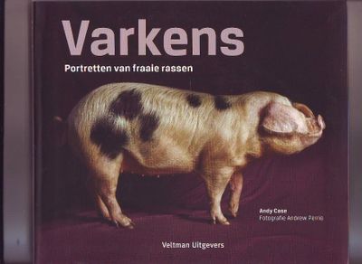 Varkens