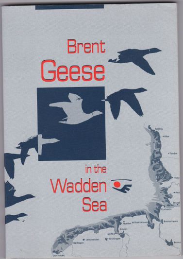 Brent Geese in the Wadden Sea