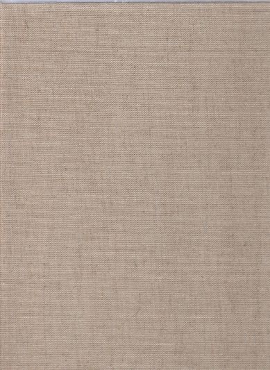 Die Deutsche Bibelübersetzung des Mittelalters