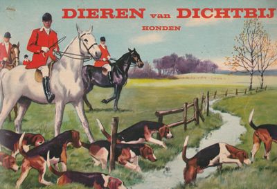 Dieren van Dichtbij Honden  Full Speed
