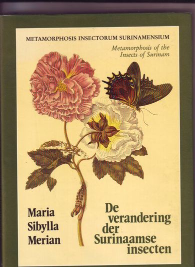De verandering der Surinaamse insecten
