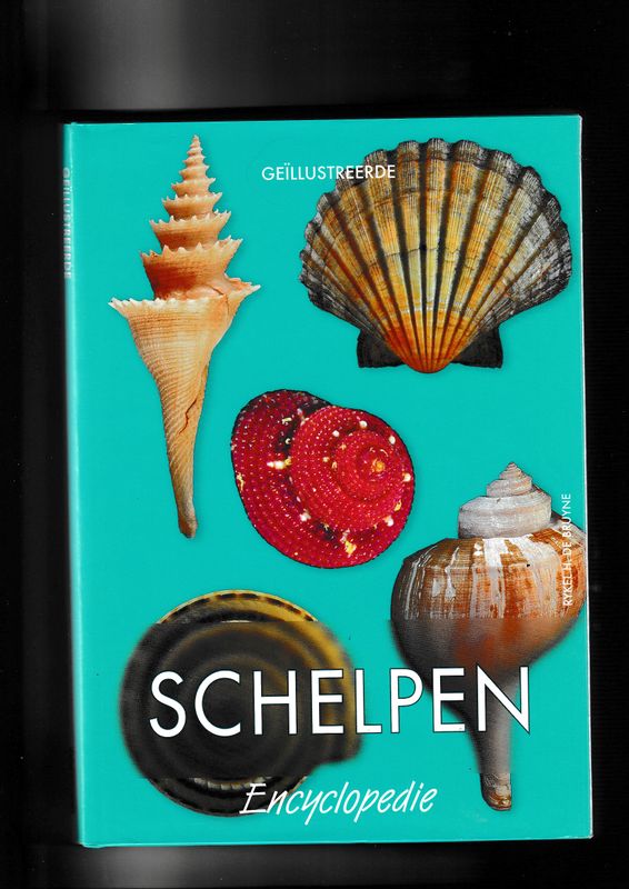 Schelpen encyclopedie