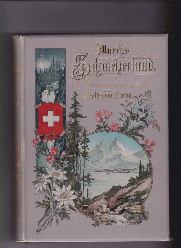 Durchs Schweizerland Sommerfahrten in Gebirg und Thal