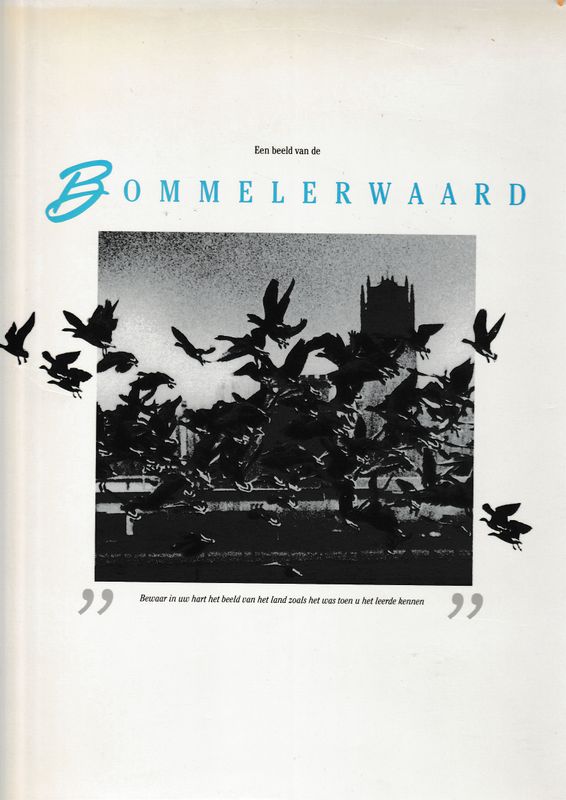 Een beeld van de Bommelerwaard