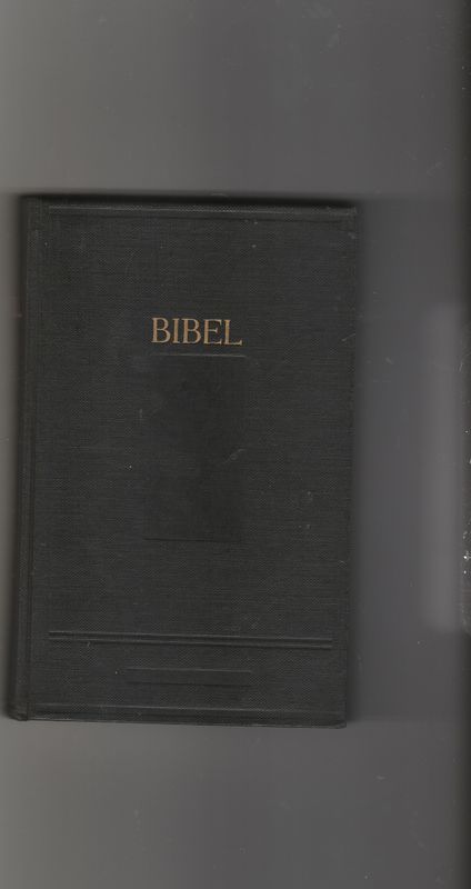 Bibel Frysk