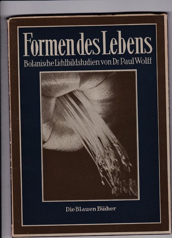 Formen des Lebens