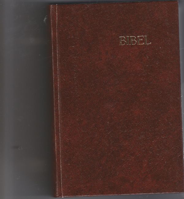 Bibel Frysk 2