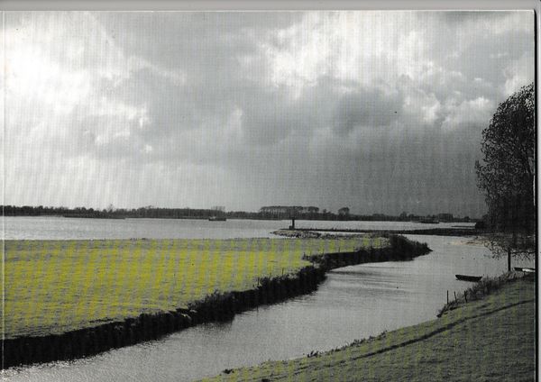 Tussen rivieren kunstenaars in Lingewaal